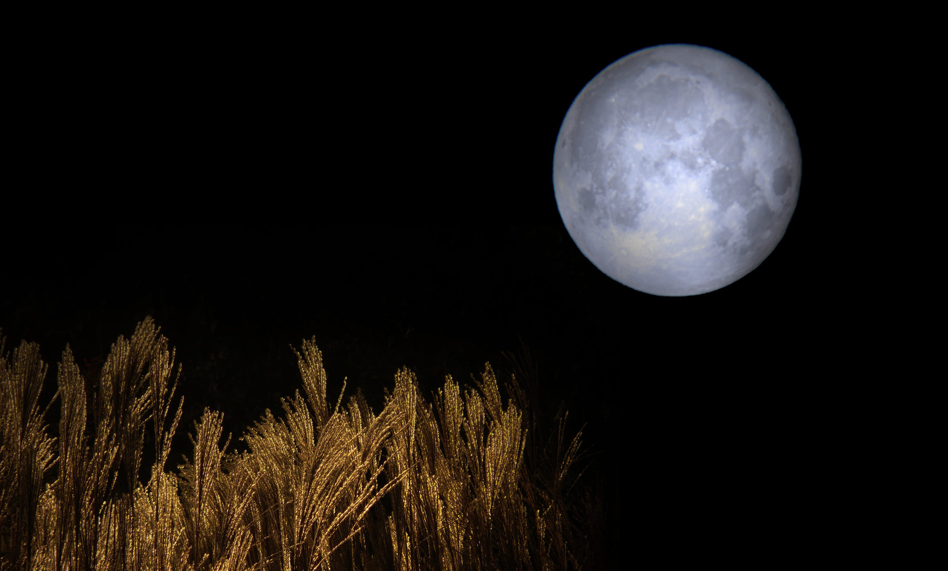 秋の夜長の過ごし方 十三夜にお月見をしよう 星空部 スマホで星をもっと身近に